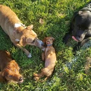 Meet your Posher, Paige